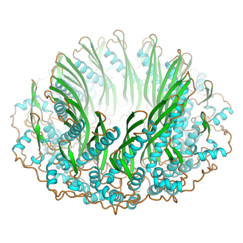 PDBID: 1KN0  DNA repair protein RAD52