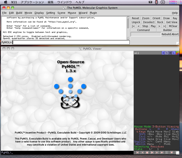 PyMOL window