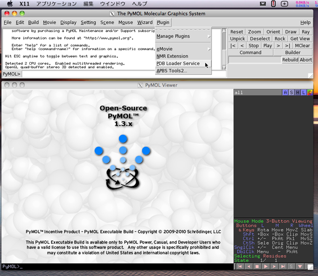 PyMOL loading PDB